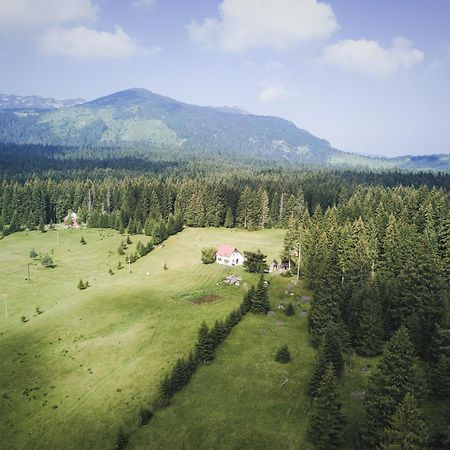 Homestay Djerkovic Zabljak  Ngoại thất bức ảnh