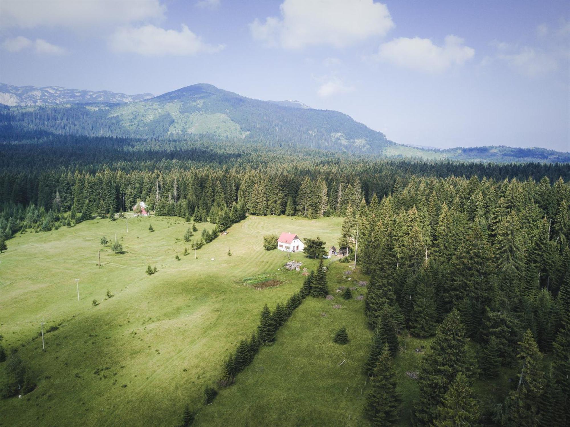 Homestay Djerkovic Zabljak  Ngoại thất bức ảnh