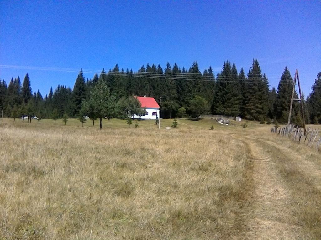 Homestay Djerkovic Zabljak  Ngoại thất bức ảnh